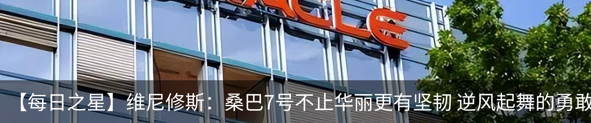 新闻动态