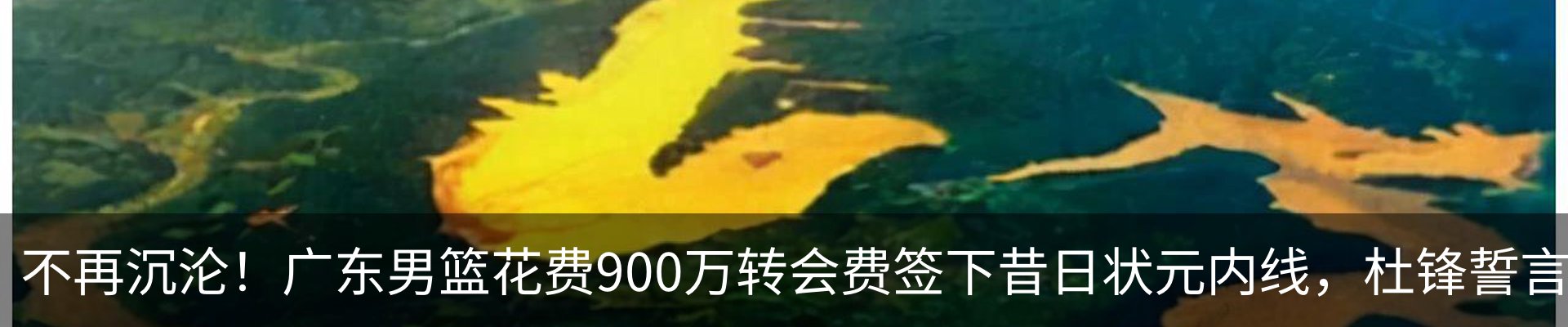 新闻动态