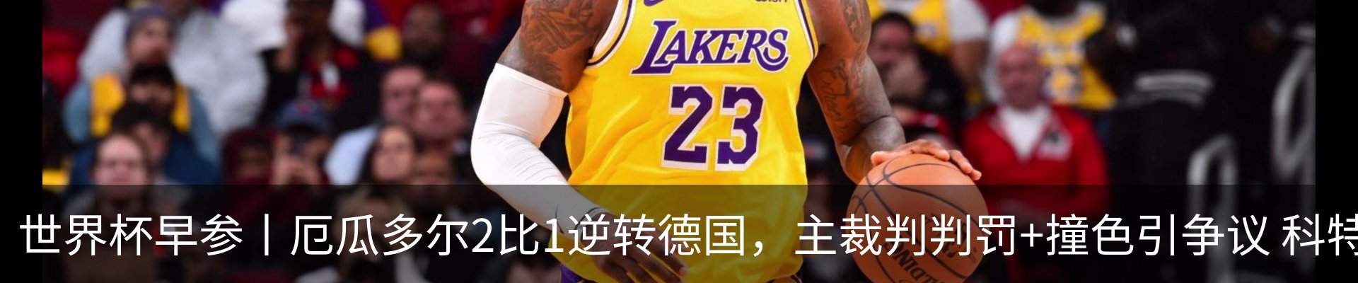 新闻动态