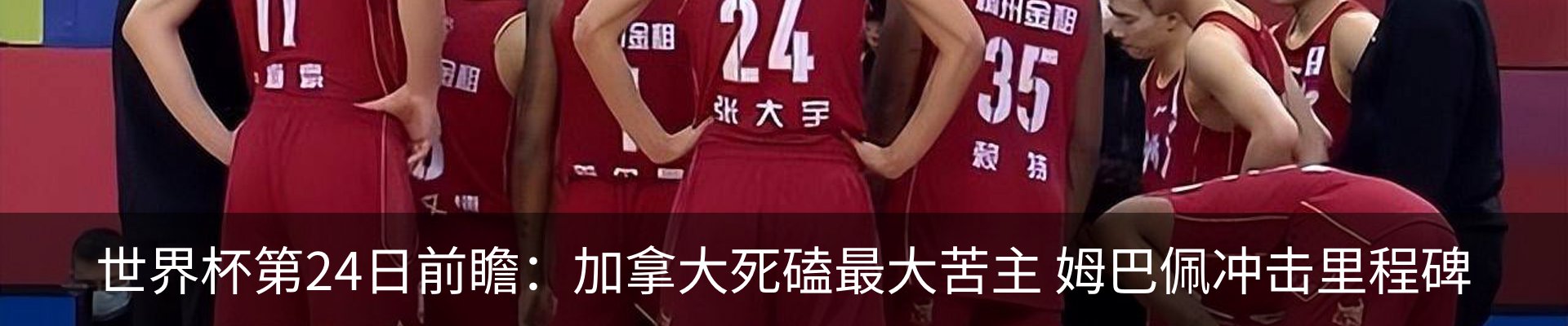 新闻动态
