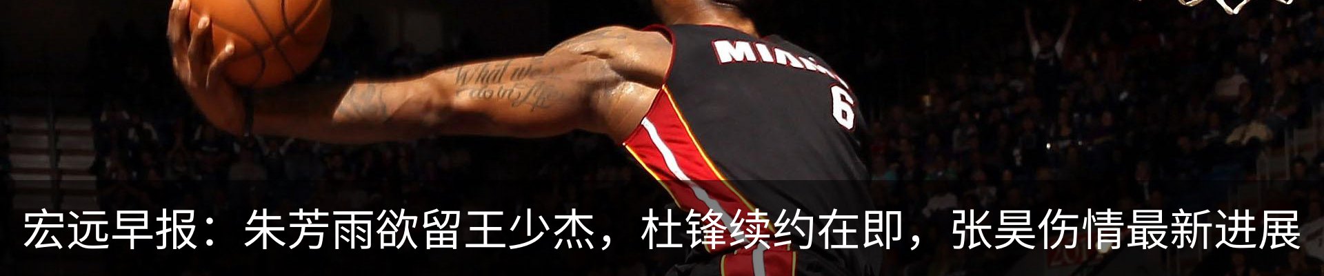 新闻动态