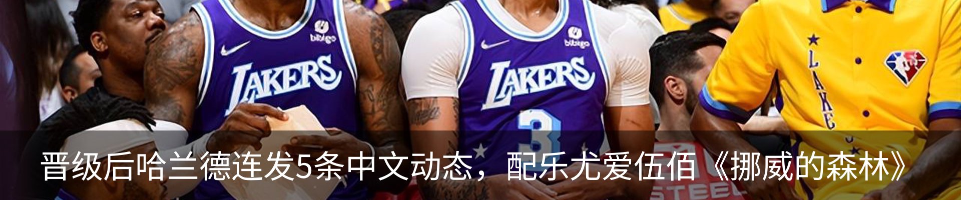 新闻动态