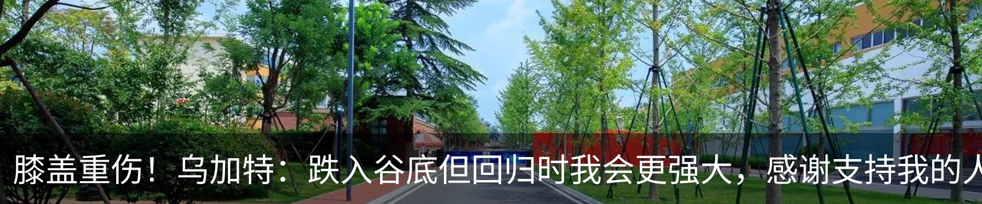 新闻动态