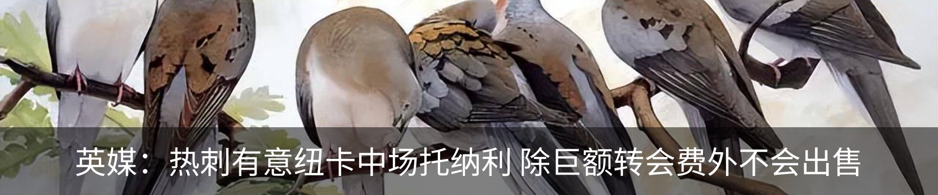 新闻动态